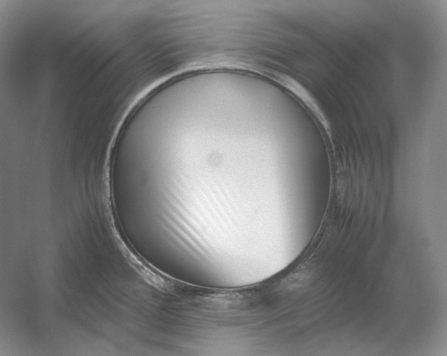 X0000054391388200508191927