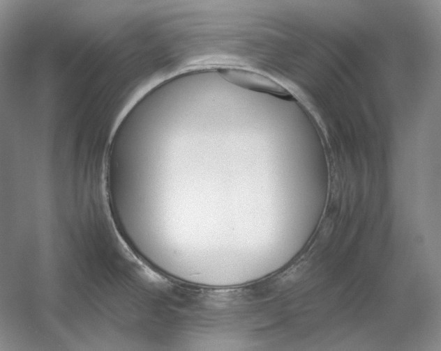 X0000054391390200508191927