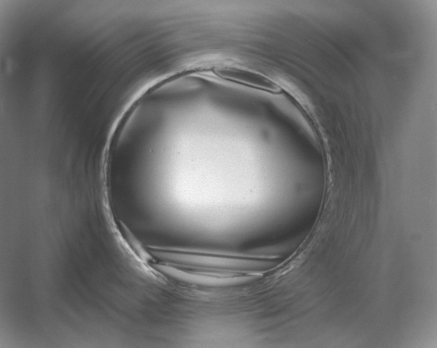 X0000054391392200508191927