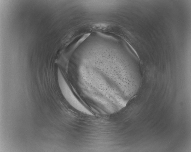 X0000054391394200508191926