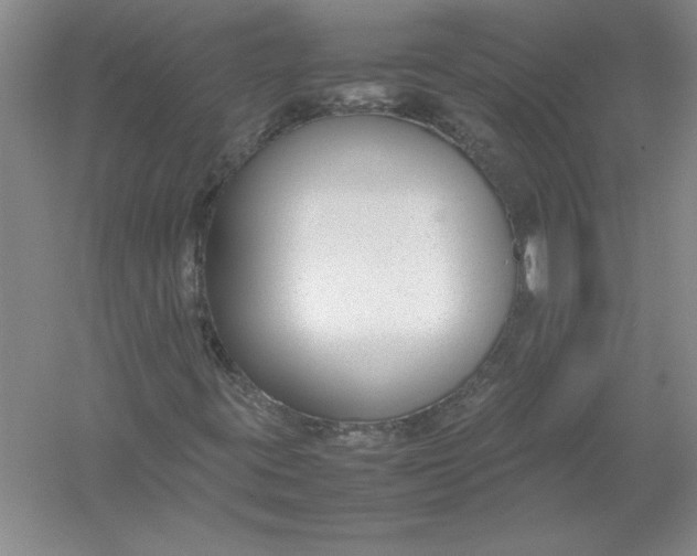 X0000054391395200508191926
