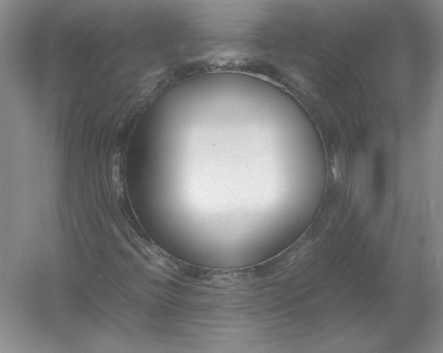 X0000054391396200508191926