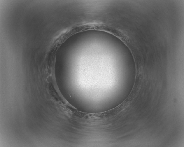 X0000054391398200508191926