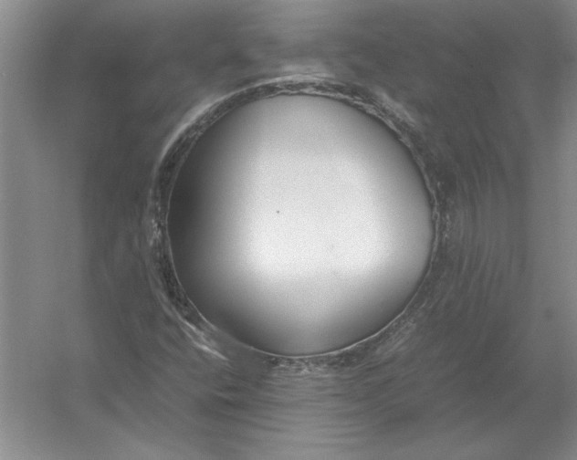 X0000054391400200508191926