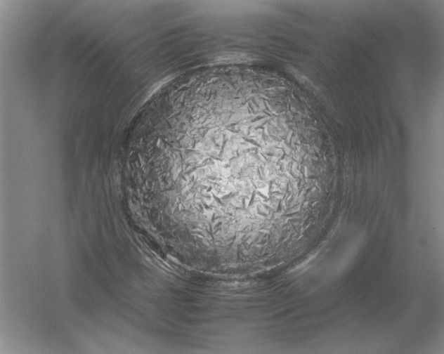 X0000054391401200508191926
