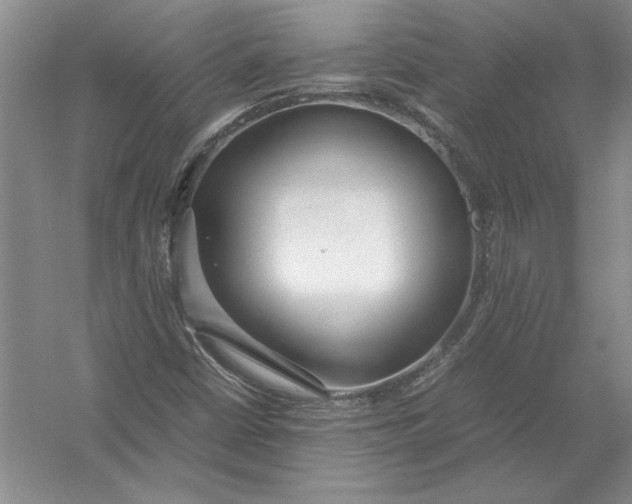 X0000054391402200508191926