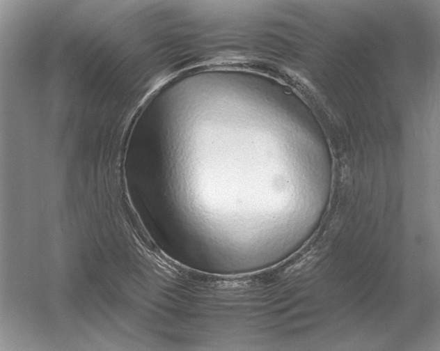X0000054391409200508191927