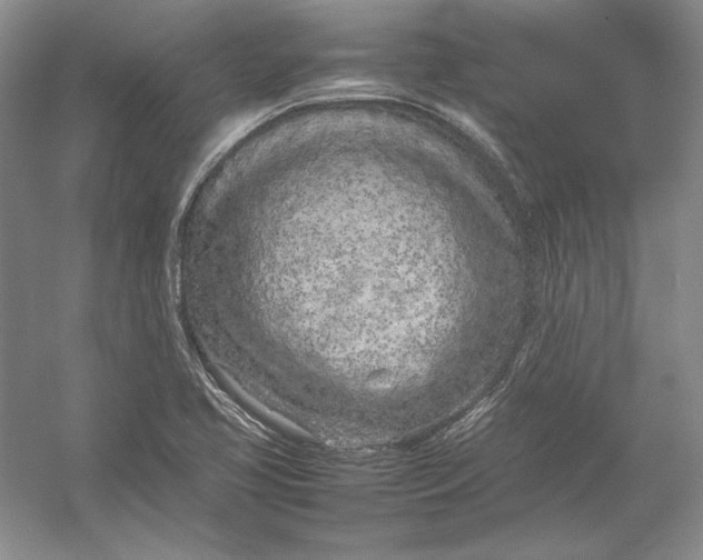 X0000054391413200508191927