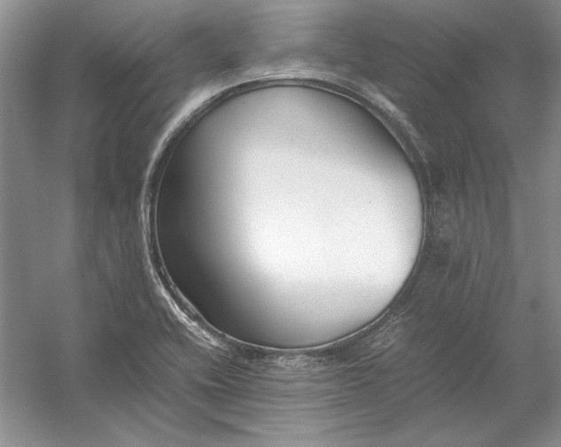 X0000054391416200508191927