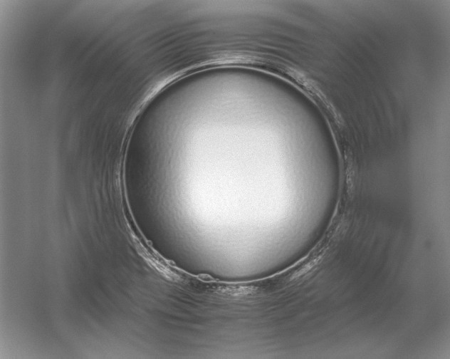 X0000054391417200508191927