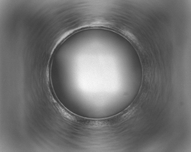 X0000054391420200508191927
