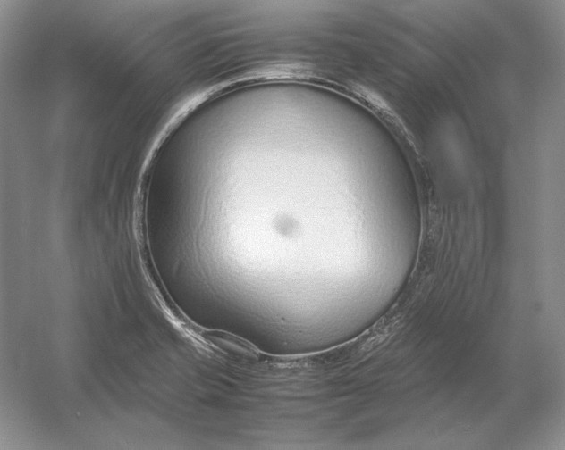 X0000054391421200508191927