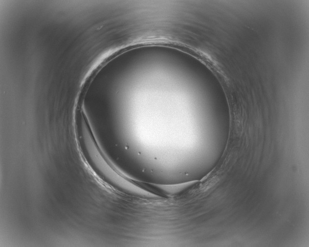 X0000054391422200508191927
