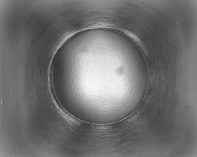 X0000054391423200508191927