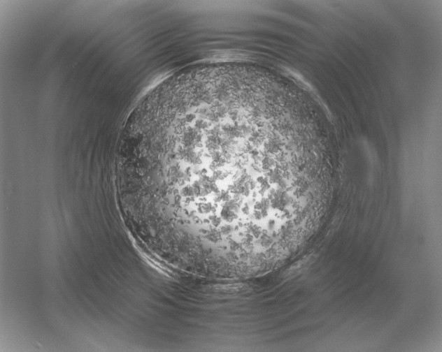 X0000054391425200508191927