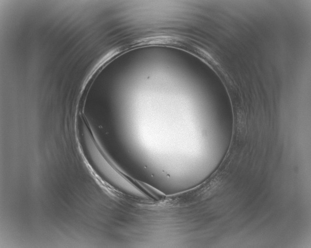 X0000054391426200508191927
