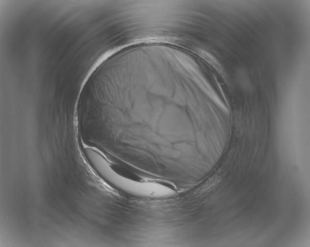 X0000054391428200508191927