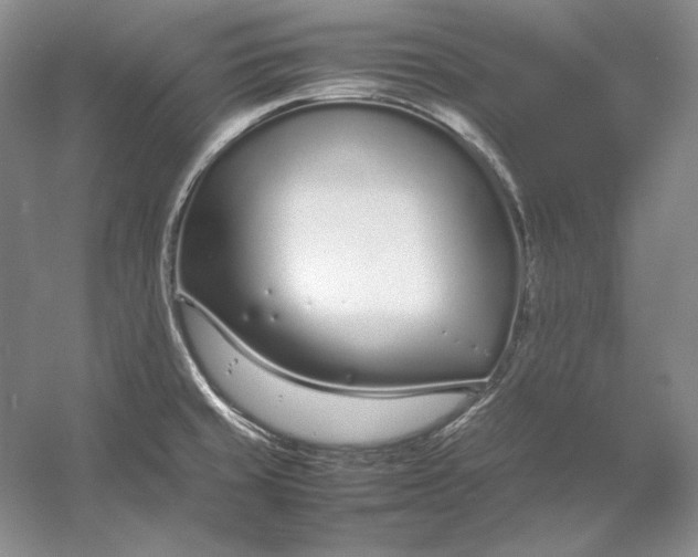 X0000054391429200508191927