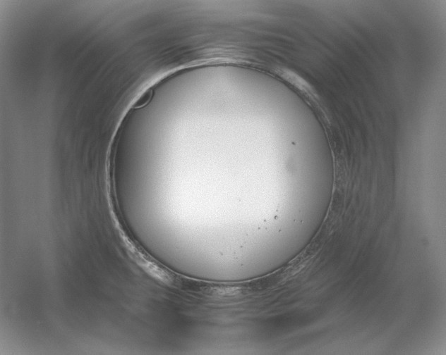 X0000054391431200508191927