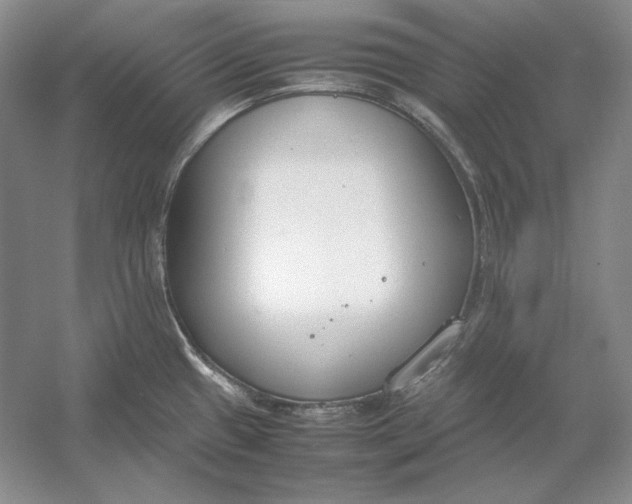 X0000054391433200508191927