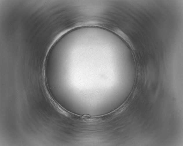 X0000054391436200508191927