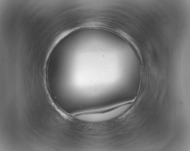X0000054391437200508191927