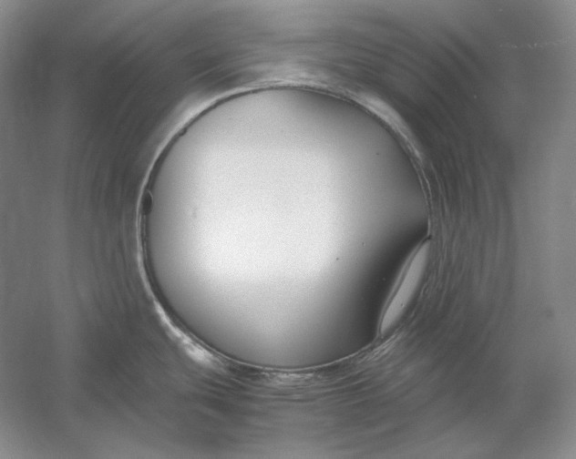 X0000054391439200508191927