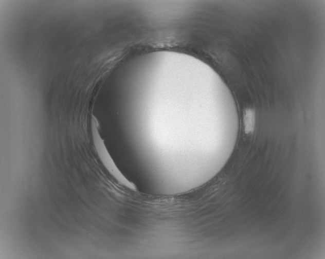 X0000054391444200508191926