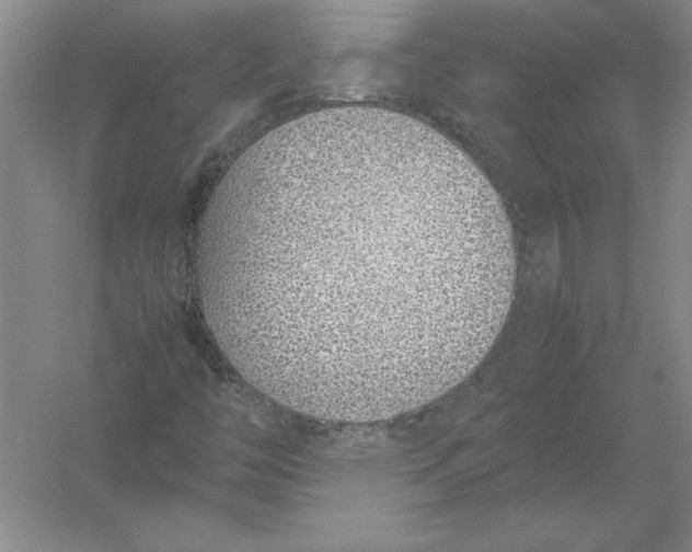X0000054391446200508191926