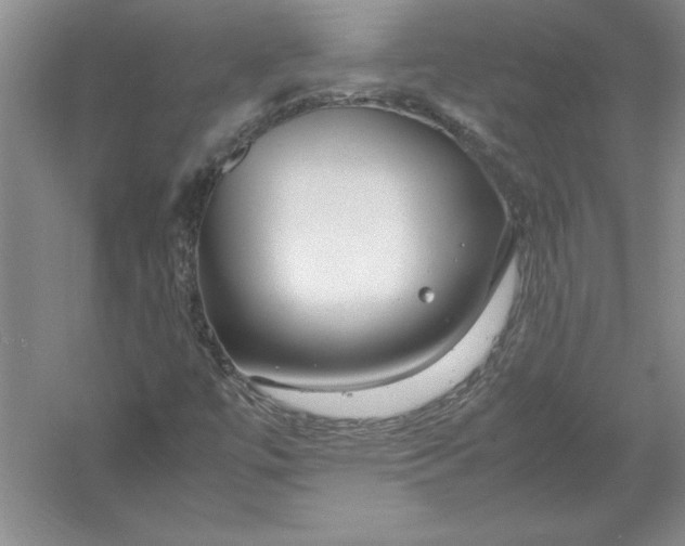 X0000054391447200508191926