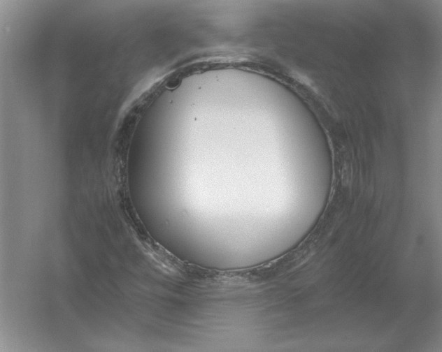 X0000054391448200508191926