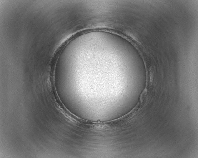 X0000054391452200508191926