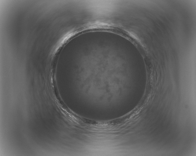 X0000054391455200508191926