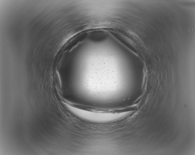 X0000054391457200508191926