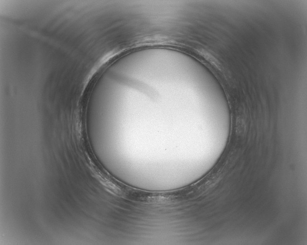 X0000054391458200508191926