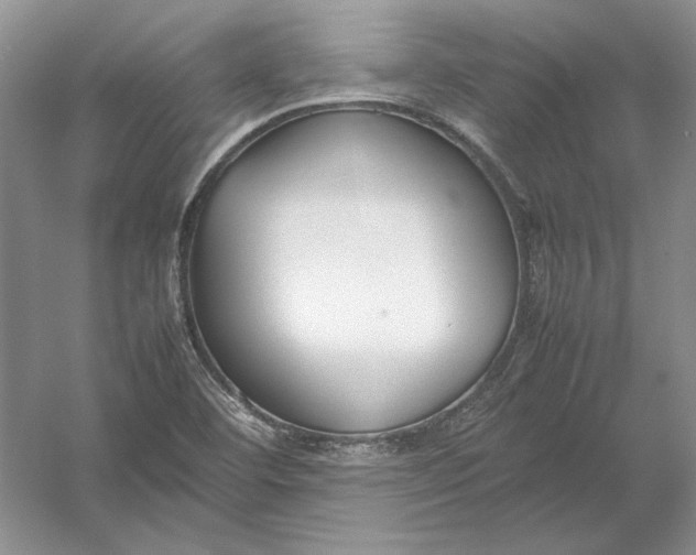 X0000054391460200508191926