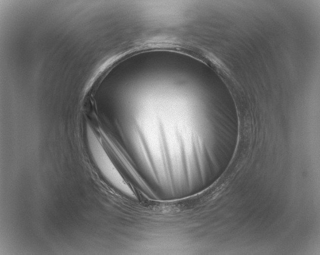 X0000054391461200508191926