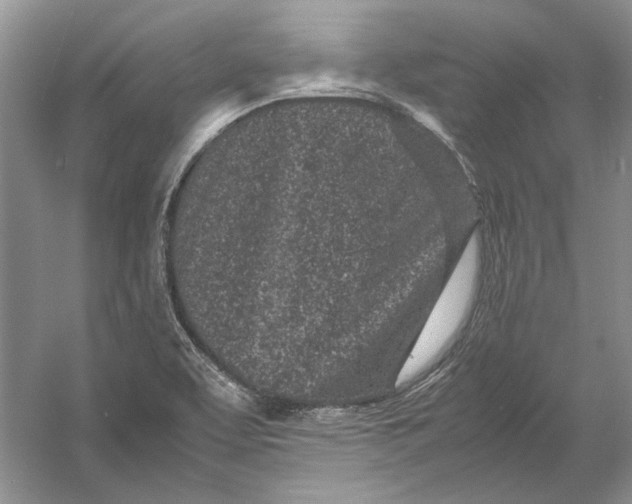 X0000054391463200508191926