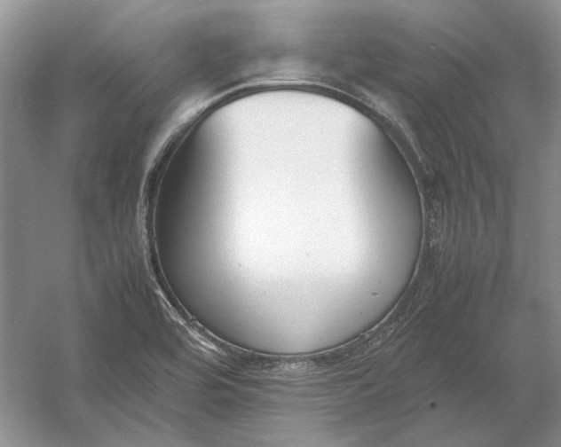 X0000054391464200508191926