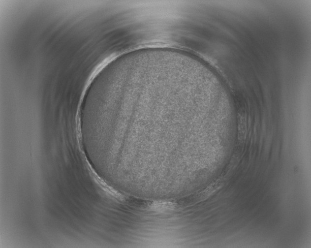 X0000054391466200508191926