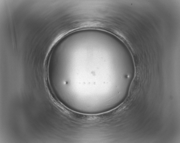 X0000054391467200508191926
