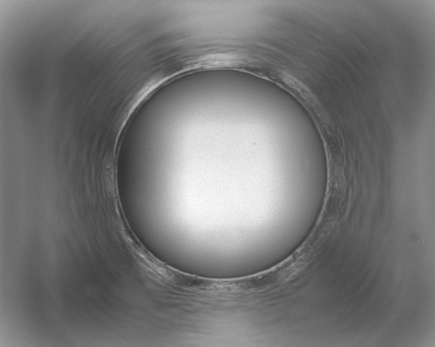 X0000054391473200508191926