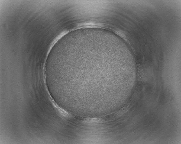 X0000054391474200508191926