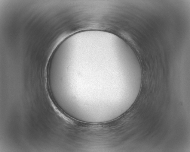 X0000054391479200508191926