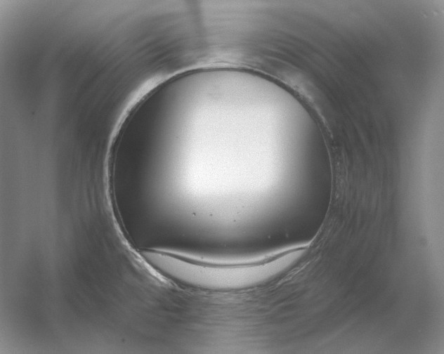 X0000054391480200508191926