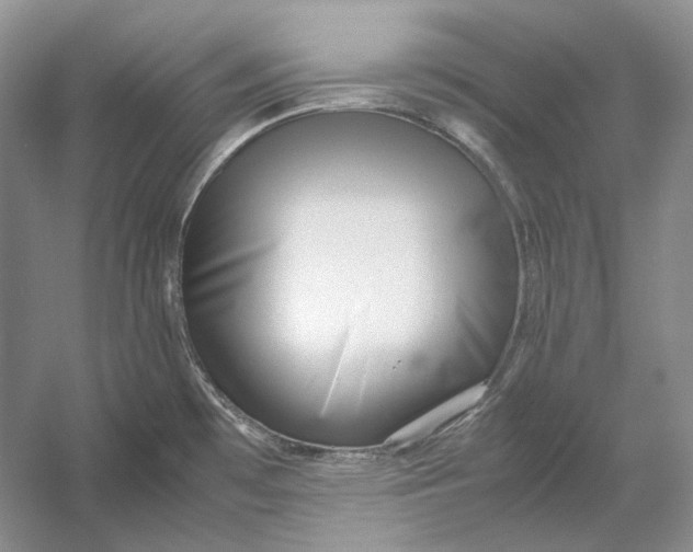 X0000054391481200508191926