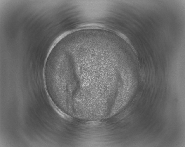 X0000054391482200508191926