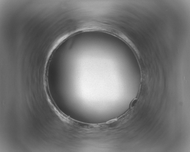 X0000054391485200508191926