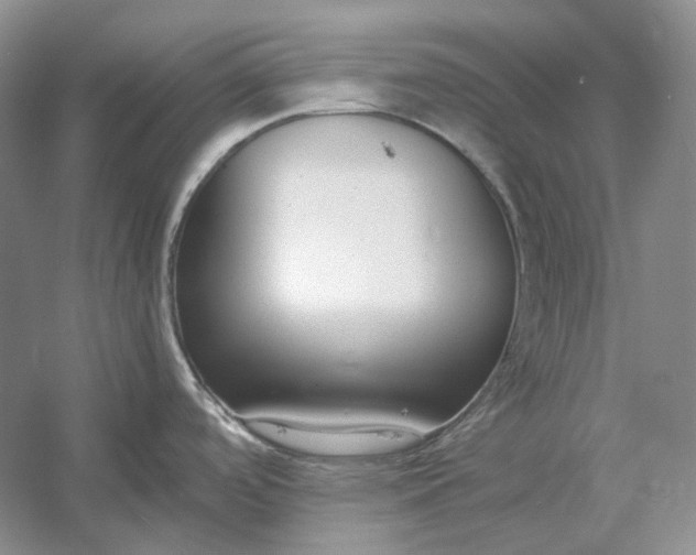 X0000054391488200508191926