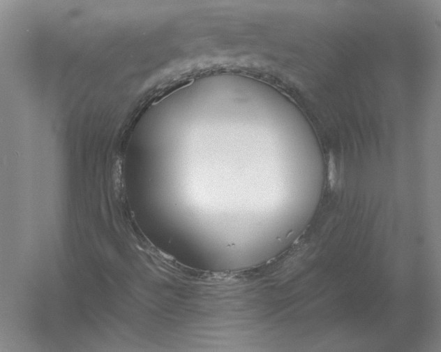 X0000054391492200508191925